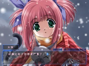 [安卓直装]冬日恋歌 SNOW|颖之夏Gal