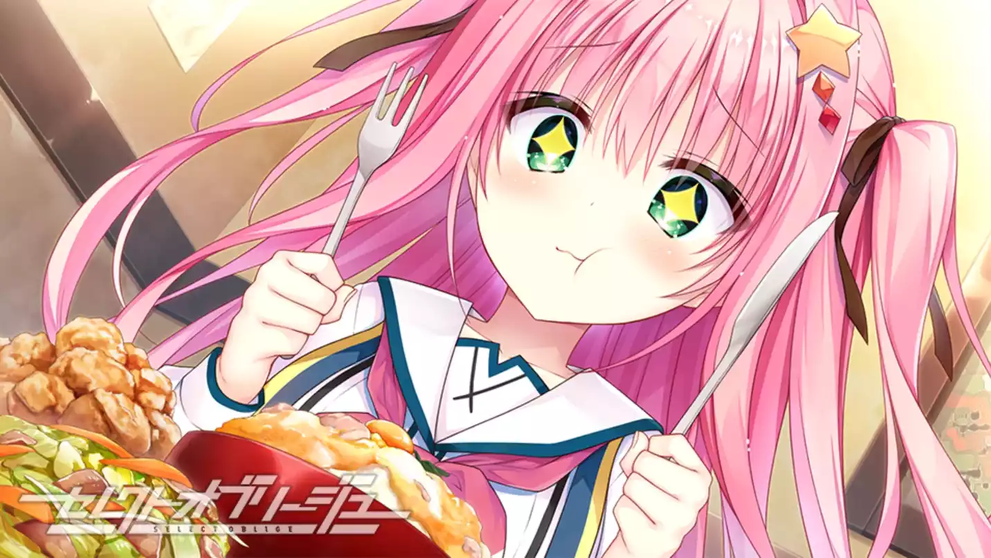 图片[2]|【Gal】【PC/AI汉化】セレクトオブリージュ / SELECT OBLIGE / 天选庶民的真命之选|颖之夏Gal