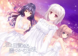 【PC/汉化】与你一起醒来的若干方法 – 君と目覚める幾つかの方法|颖之夏Gal