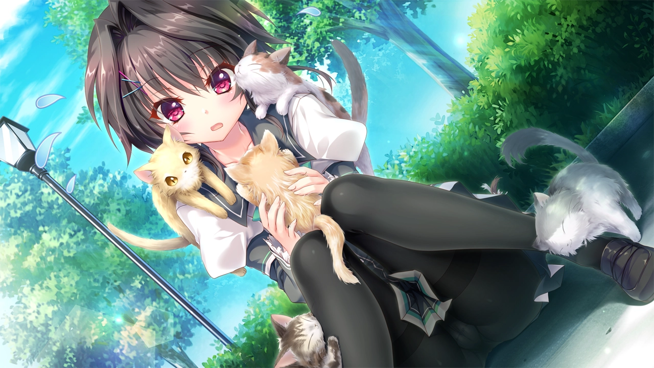 图片[1]|【PC/汉化】9nine雪色雪花雪余痕|颖之夏Gal