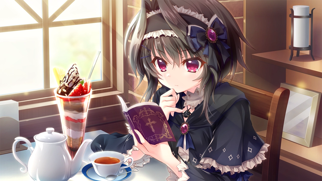 图片[2]|【PC/汉化】9nine雪色雪花雪余痕|颖之夏Gal