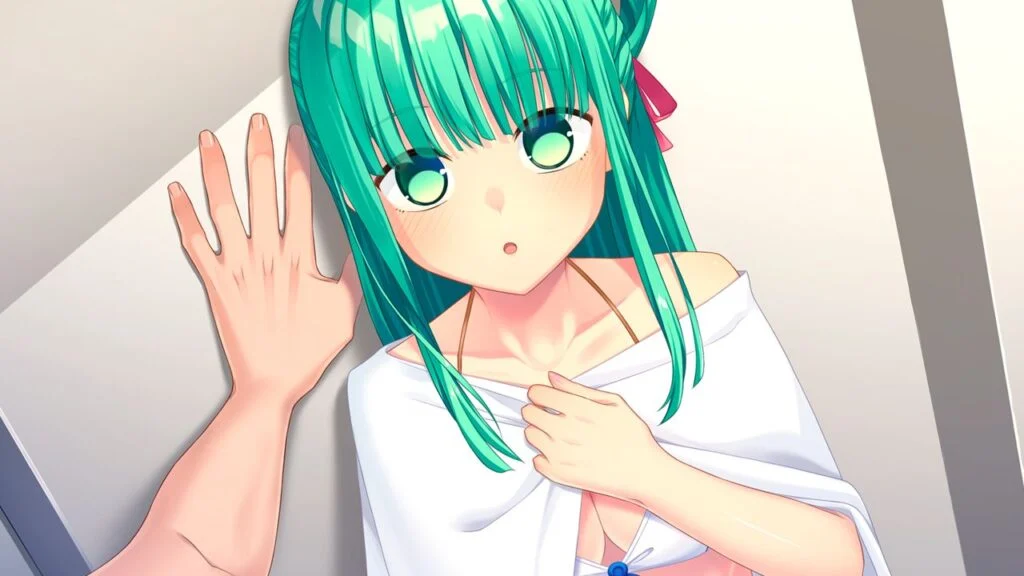 图片[1]|【PC/生肉】抜きゲーみたいな島に住んでる貧乳はどうすりゃいいですか? 1+2 Remaster パック|颖之夏Gal