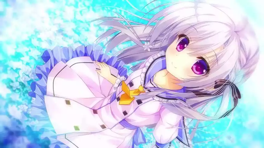 图片[1]|【PC/汉化】永不枯萎的世界与终结之花 |颖之夏Gal