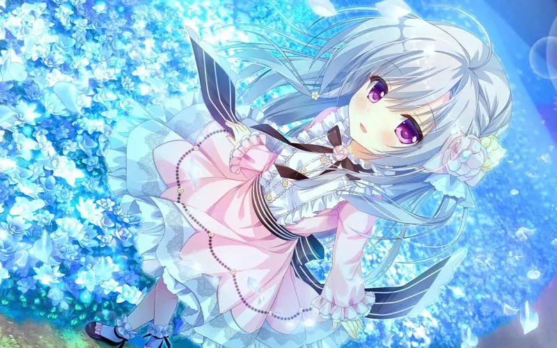 图片[3]|【PC/汉化】永不枯萎的世界与终结之花 |颖之夏Gal