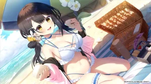【PC/AI汉化】刹那にかける恋はなびSS 小鞠とワンルーム|颖之夏Gal