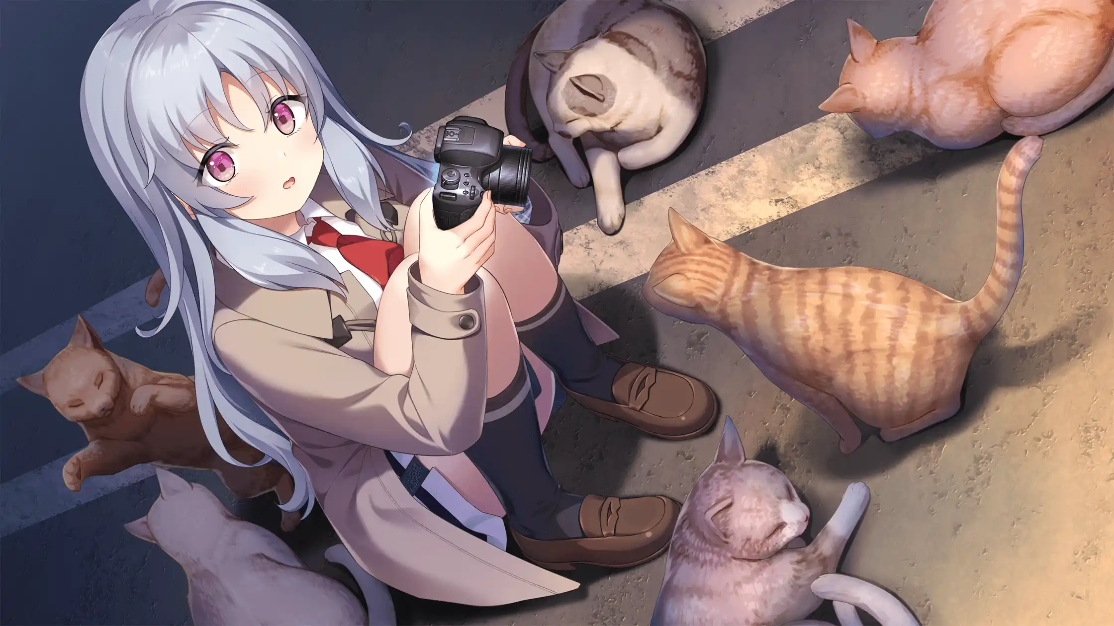 图片[2]|【PC/PE/汉化】海与雪的青蓝色 / 海と雪のシアンブルー|颖之夏Gal