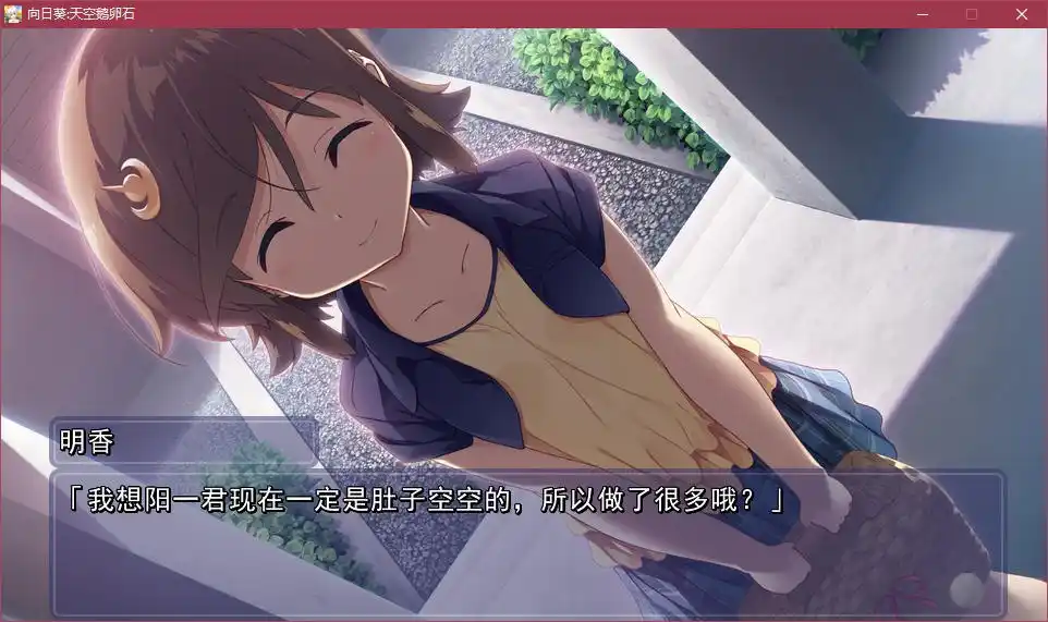 向日葵：天空鹅卵石|颖之夏Gal